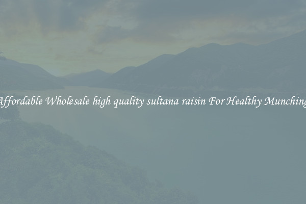 Affordable Wholesale high quality sultana raisin For Healthy Munching 