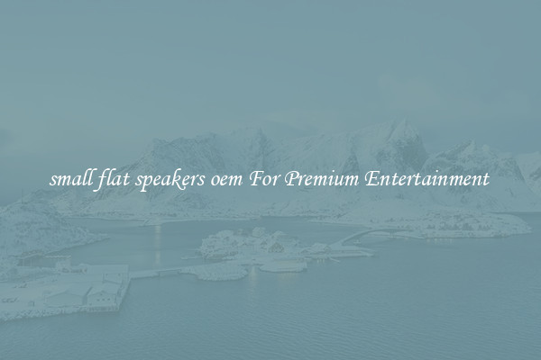 small flat speakers oem For Premium Entertainment 
