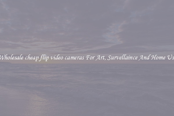 Wholesale cheap flip video cameras For Art, Survellaince And Home Use
