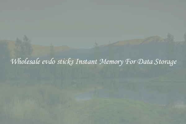 Wholesale evdo sticks Instant Memory For Data Storage