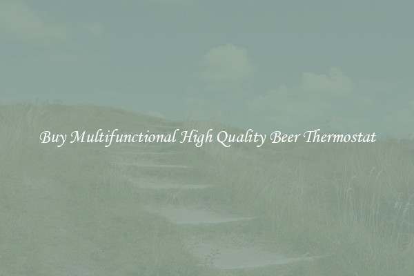 Buy Multifunctional High Quality Beer Thermostat