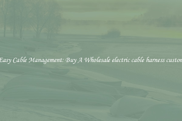 Easy Cable Management: Buy A Wholesale electric cable harness custom