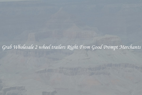 Grab Wholesale 2 wheel trailers Right From Good Prompt Merchants