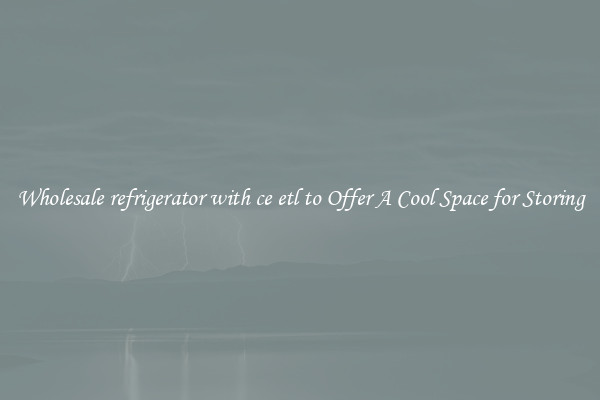 Wholesale refrigerator with ce etl to Offer A Cool Space for Storing