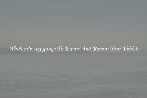 Wholesale cng guage To Repair And Renew Your Vehicle