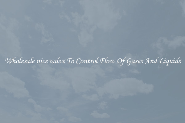 Wholesale nice valve To Control Flow Of Gases And Liquids