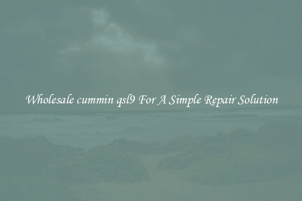 Wholesale cummin qsl9 For A Simple Repair Solution
