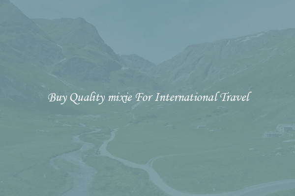 Buy Quality mixie For International Travel