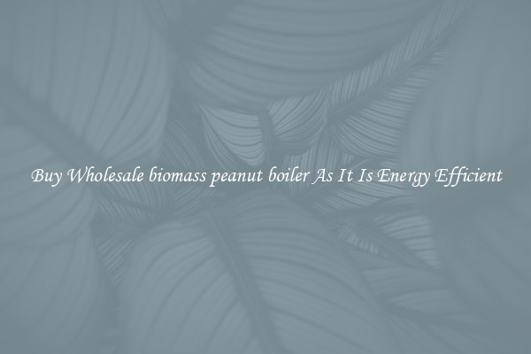 Buy Wholesale biomass peanut boiler As It Is Energy Efficient