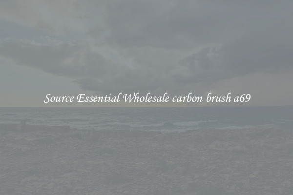 Source Essential Wholesale carbon brush a69