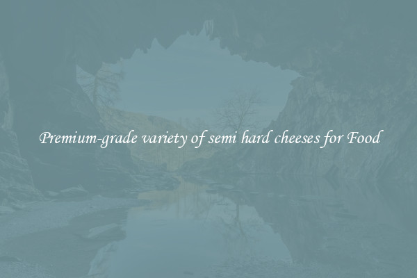 Premium-grade variety of semi hard cheeses for Food