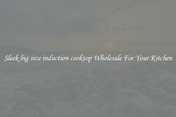 Sleek big size induction cooktop Wholesale For Your Kitchen