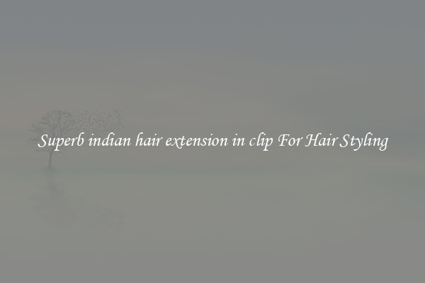Superb indian hair extension in clip For Hair Styling