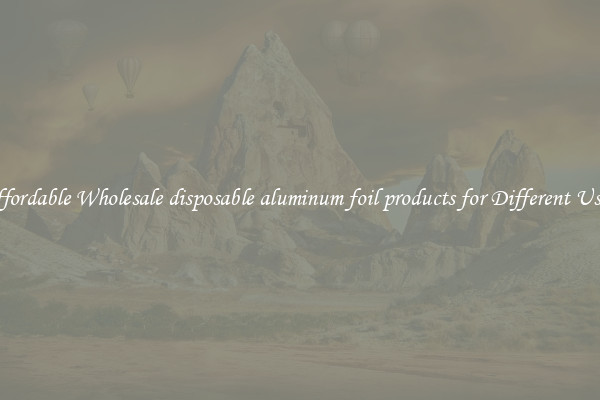Affordable Wholesale disposable aluminum foil products for Different Uses 