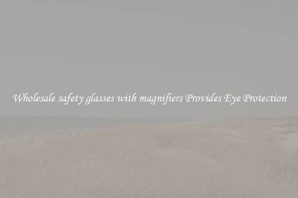 Wholesale safety glasses with magnifiers Provides Eye Protection