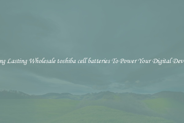 Long Lasting Wholesale toshiba cell batteries To Power Your Digital Devices