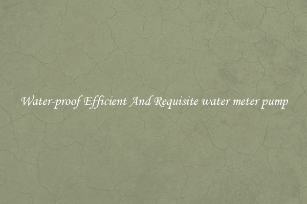 Water-proof Efficient And Requisite water meter pump