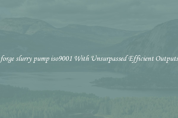 forge slurry pump iso9001 With Unsurpassed Efficient Outputs