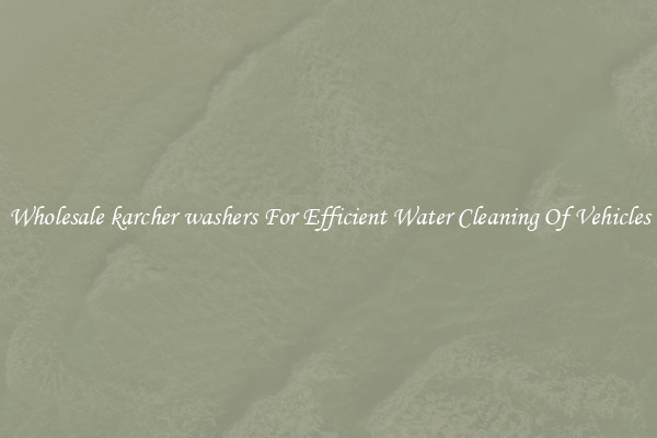 Wholesale karcher washers For Efficient Water Cleaning Of Vehicles