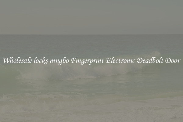 Wholesale locks ningbo Fingerprint Electronic Deadbolt Door 
